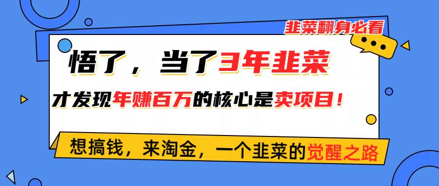 悟了，当了3年韭菜，才发现网赚圈年赚100万的核心是卖项目，含泪分享！网创吧-网创项目资源站-副业项目-创业项目-搞钱项目v创吧
