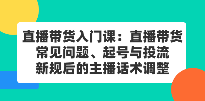 直播带货入门课：直播带货常见问题、起号与投流、新规后的主播话术调整网创吧-网创项目资源站-副业项目-创业项目-搞钱项目v创吧