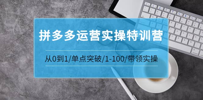 拼多多运营实操特训营：从0到1/单点突破/1-100/带领实操 价值2980元v创吧-网创项目资源站-副业项目-创业项目-搞钱项目v创吧