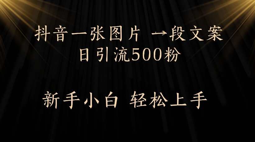 抖音一张图片，一段文案日引流500粉，新手小白 轻松上手网创吧-网创项目资源站-副业项目-创业项目-搞钱项目v创吧