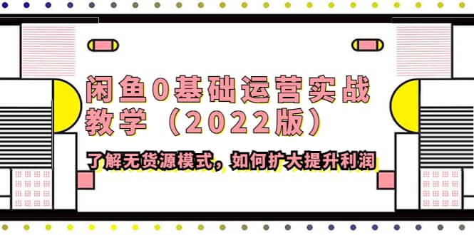 闲鱼0基础运营实战教学（2022版）了解无货源模式，如何扩大提升利润网创吧-网创项目资源站-副业项目-创业项目-搞钱项目v创吧