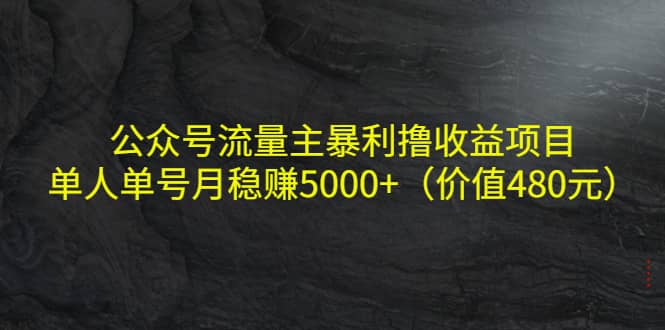 公众号流量主暴利撸收益项目，单人单号月稳赚5000+（价值480元）v创吧-网创项目资源站-副业项目-创业项目-搞钱项目v创吧