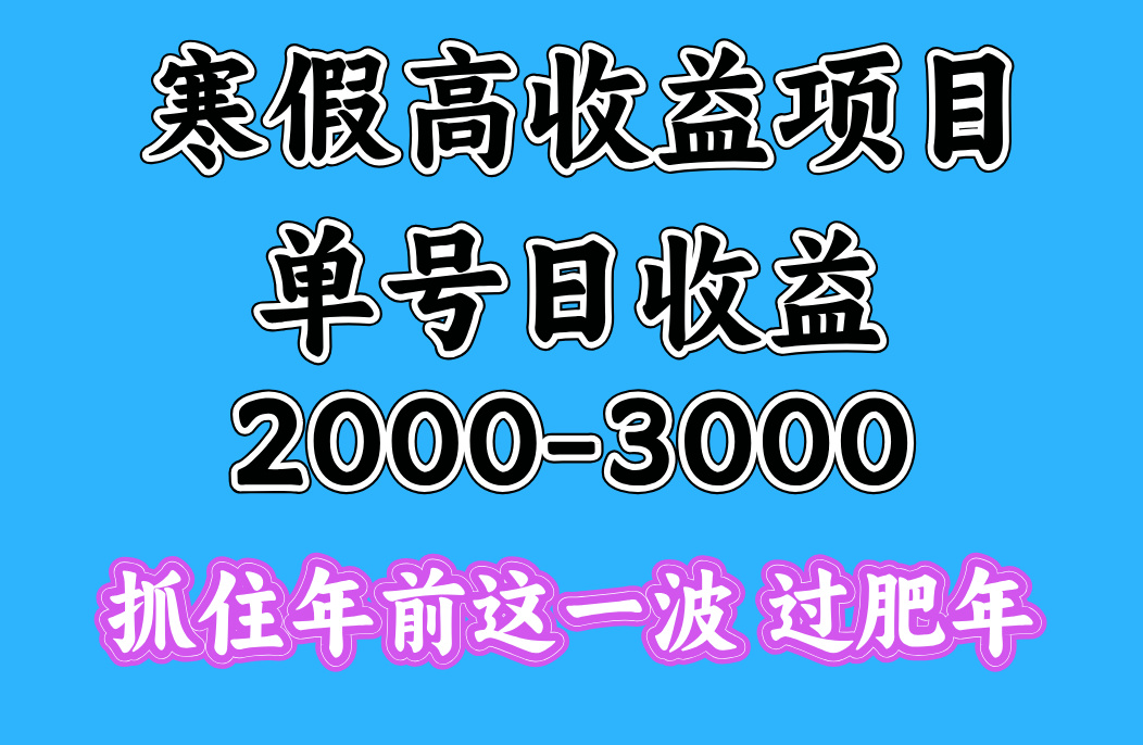 寒假期间一天收益2000-3000+，抓住年前这一波v创吧-网创项目资源站-副业项目-创业项目-搞钱项目v创吧