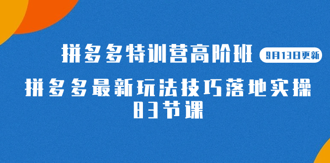 2023拼多多·特训营高阶班【9月13日更新】拼多多最新玩法技巧落地实操-83节v创吧-网创项目资源站-副业项目-创业项目-搞钱项目v创吧