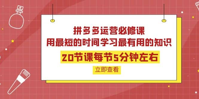拼多多运营必修课：20节课每节5分钟左右，用最短的时间学习最有用的知识网创吧-网创项目资源站-副业项目-创业项目-搞钱项目v创吧