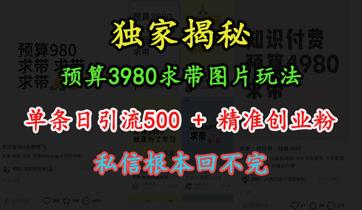 “小红书”预算3980求带 图片玩法，单条日引流500+精准创业粉，私信根本回不完v创吧-网创项目资源站-副业项目-创业项目-搞钱项目v创吧