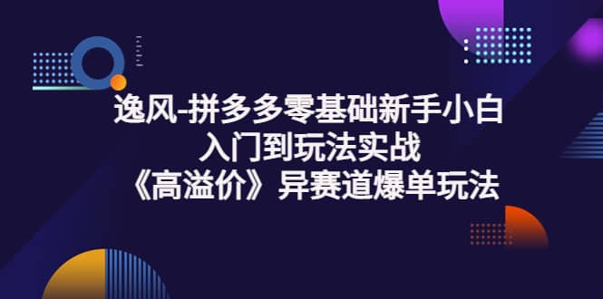 拼多多零基础新手小白入门到玩法实战《高溢价》异赛道爆单玩法实操课网创吧-网创项目资源站-副业项目-创业项目-搞钱项目v创吧