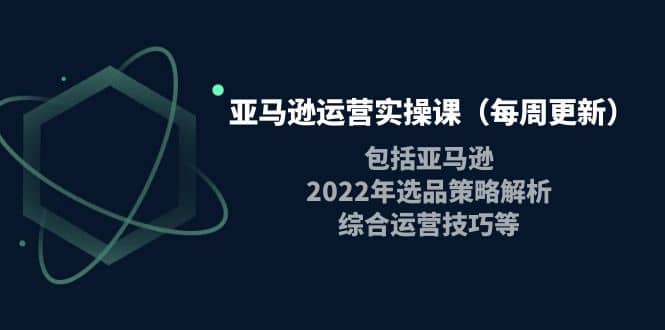 亚马逊运营实操课（每周更新）包括亚马逊2022选品策略解析，综合运营技巧等v创吧-网创项目资源站-副业项目-创业项目-搞钱项目v创吧