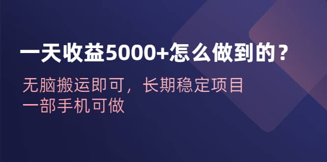 一天收益5000+怎么做到的？无脑搬运即可，长期稳定项目，一部手机可做v创吧-网创项目资源站-副业项目-创业项目-搞钱项目v创吧