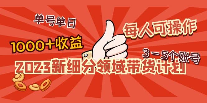 2023新细分领域带货计划：单号单日1000+收益不难，每人可操作3-5个账号v创吧-网创项目资源站-副业项目-创业项目-搞钱项目v创吧