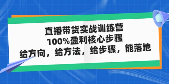 直播带货实战训练营：100%盈利核心步骤，给方向，给方法，给步骤，能落地v创吧-网创项目资源站-副业项目-创业项目-搞钱项目v创吧
