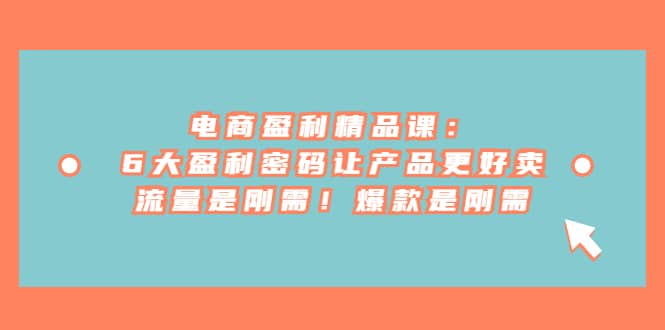 电商 盈利精品课：6大盈利 密码让产品更好卖，流量是刚需！爆款是刚需网创吧-网创项目资源站-副业项目-创业项目-搞钱项目v创吧