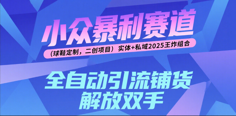楠—小众暴利赛道（球鞋定制，二创项目）实体+私域2025王炸组合网创吧-网创项目资源站-副业项目-创业项目-搞钱项目v创吧