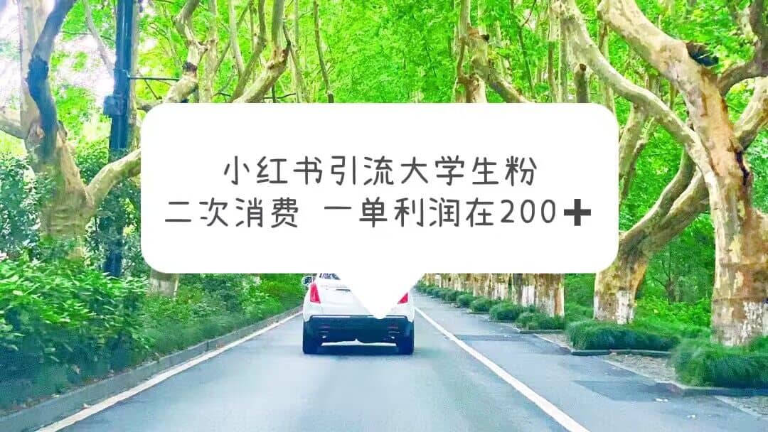 小红书引流大学生粉，变现项目，一单利润在200+（教程+资源）网创吧-网创项目资源站-副业项目-创业项目-搞钱项目v创吧