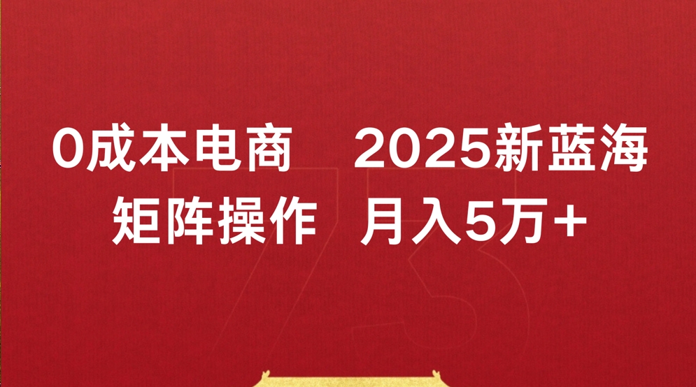 0成本电商2025新蓝海矩阵操作 月入5万+v创吧-网创项目资源站-副业项目-创业项目-搞钱项目v创吧
