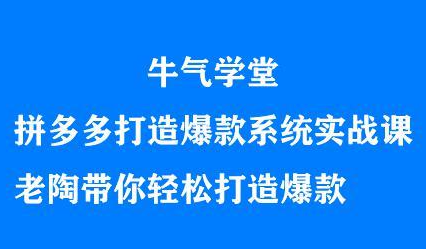 牛气学堂拼多多打造爆款系统实战课，老陶带你轻松打造爆款网创吧-网创项目资源站-副业项目-创业项目-搞钱项目v创吧