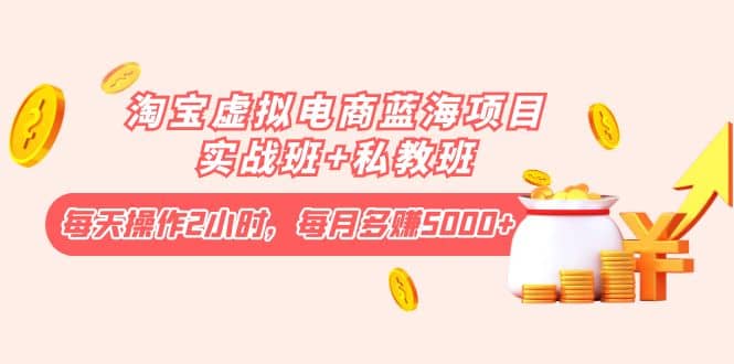 淘宝虚拟电商蓝海项目实战班+私教班网创吧-网创项目资源站-副业项目-创业项目-搞钱项目v创吧