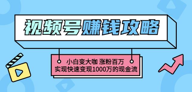 玩转微信视频号赚钱：小白变大咖涨粉百万实现快速变现1000万的现金流v创吧-网创项目资源站-副业项目-创业项目-搞钱项目v创吧