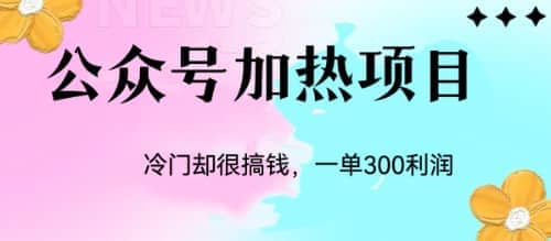 冷门公众号加热项目，一单利润300+网创吧-网创项目资源站-副业项目-创业项目-搞钱项目v创吧