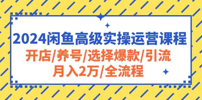 2024闲鱼高级实操运营课程：开店/养号/选择爆款/引流/月入2万/全流程v创吧-网创项目资源站-副业项目-创业项目-搞钱项目v创吧