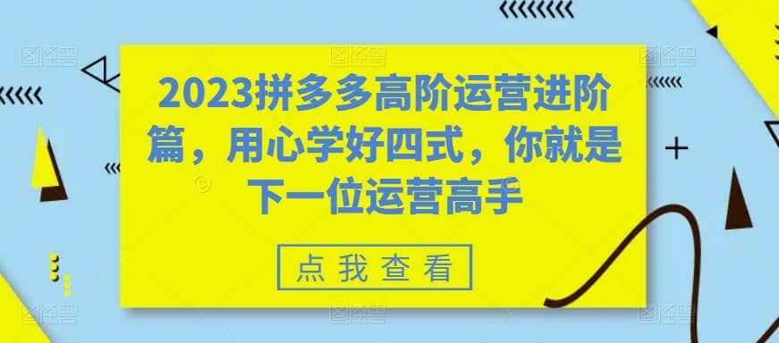 2023拼多多高阶运营进阶篇，用心学好四式，你就是下一位运营高手网创吧-网创项目资源站-副业项目-创业项目-搞钱项目v创吧