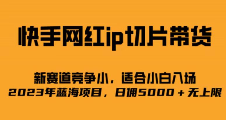 快手网红ip切片新赛道，竞争小事，适合小白 2023蓝海项目v创吧-网创项目资源站-副业项目-创业项目-搞钱项目v创吧