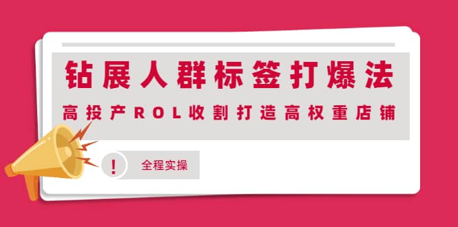 钻展人群标签打爆法，高投产ROL收割打造高权重店铺(全程实操)网创吧-网创项目资源站-副业项目-创业项目-搞钱项目v创吧