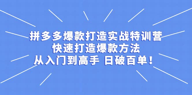 拼多多爆款打造实战特训营：快速打造爆款方法，从入门到高手 日破百单网创吧-网创项目资源站-副业项目-创业项目-搞钱项目v创吧