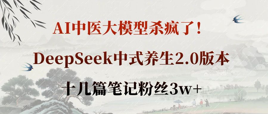 AI中医大模型杀疯了！DeepSeek中式养生2.0版本，十几篇笔记粉丝3w+网创吧-网创项目资源站-副业项目-创业项目-搞钱项目v创吧