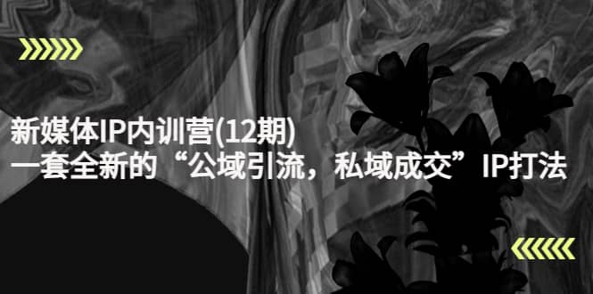 新媒体IP内训营(12期)，一套全新的“公域引流，私域成交”IP打法，直接带走网创吧-网创项目资源站-副业项目-创业项目-搞钱项目v创吧