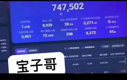 宝子哥无人直播，半无人直播，Obs+伴侣玩法，快速打标签+养鱼网创吧-网创项目资源站-副业项目-创业项目-搞钱项目v创吧