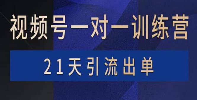 视频号训练营：带货，涨粉，直播，游戏，四大变现新方向，21天引流出单网创吧-网创项目资源站-副业项目-创业项目-搞钱项目v创吧