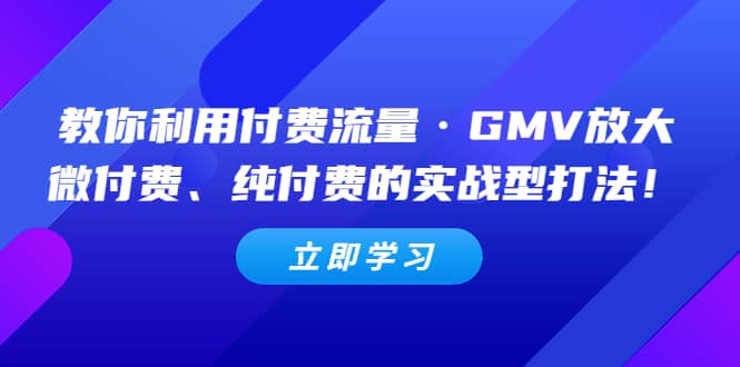教你利用付费流量·GMV放大，微付费、纯付费的实战型打法网创吧-网创项目资源站-副业项目-创业项目-搞钱项目v创吧