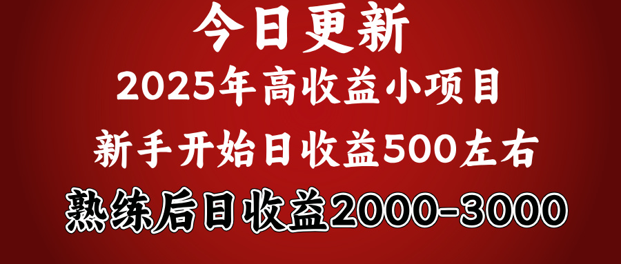 2025开年好项目，新手日收益500+ 熟练掌握后，日收益平均2000多v创吧-网创项目资源站-副业项目-创业项目-搞钱项目v创吧