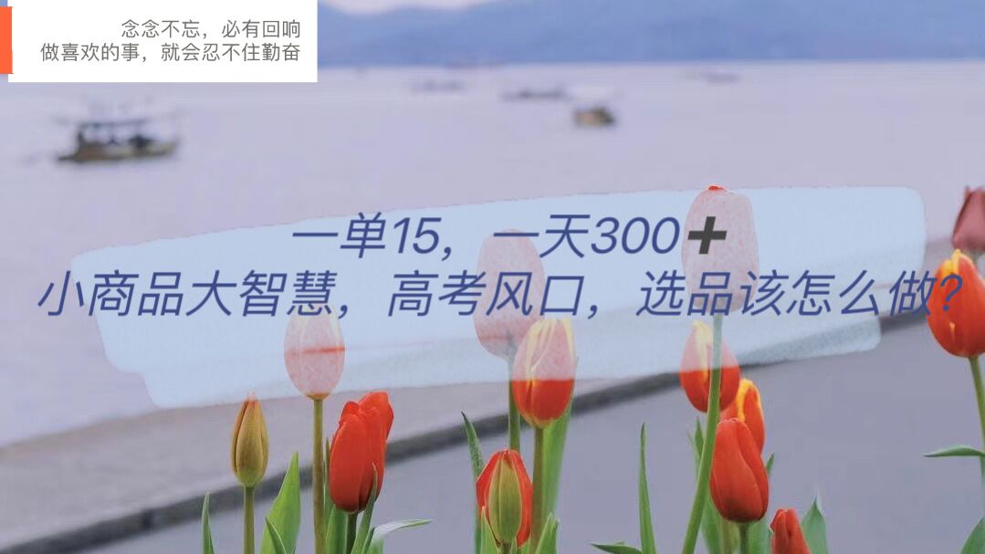 一单15，一天300+，小商品大智慧，高考风口，选品该怎么布局v创吧-网创项目资源站-副业项目-创业项目-搞钱项目v创吧
