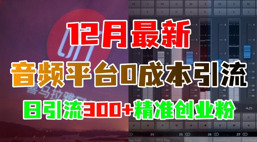 12月最新：音频平台0成本引流，日引300+精准创业粉v创吧-网创项目资源站-副业项目-创业项目-搞钱项目v创吧