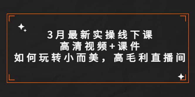 3月最新实操线下课高清视频+课件，如何玩转小而美，高毛利直播间v创吧-网创项目资源站-副业项目-创业项目-搞钱项目v创吧