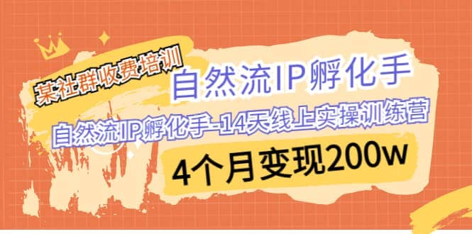 某社群收费培训：自然流IP 孵化手-14天线上实操训练营 4个月变现200w网创吧-网创项目资源站-副业项目-创业项目-搞钱项目v创吧