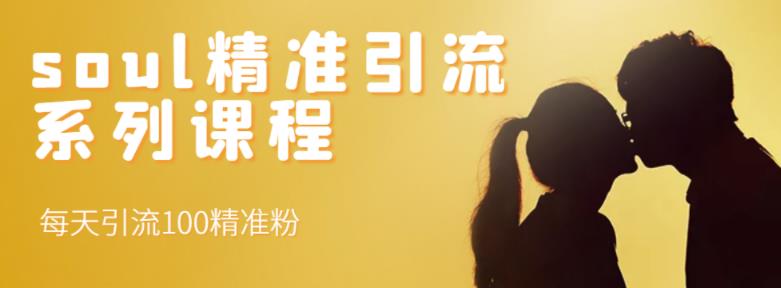 soul精准引流系列课程，每天引流100精准粉网创吧-网创项目资源站-副业项目-创业项目-搞钱项目v创吧