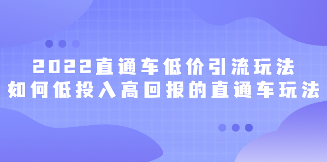 2022直通车低价引流玩法，教大家如何低投入高回报的直通车玩法网创吧-网创项目资源站-副业项目-创业项目-搞钱项目v创吧