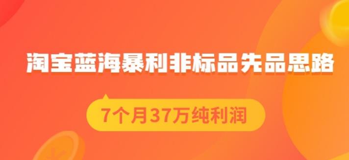 盗坤淘宝蓝海暴利非标品先品思路，7个月37万纯利润，压箱干货分享！【付费文章】网创吧-网创项目资源站-副业项目-创业项目-搞钱项目v创吧