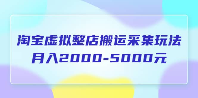 淘宝虚拟整店搬运采集玩法分享课：月入2000-5000元（5节课）网创吧-网创项目资源站-副业项目-创业项目-搞钱项目v创吧