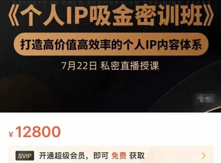个人IP吸金密训班，打造高价值高效率的个人IP内容体系（价值12800元）网创吧-网创项目资源站-副业项目-创业项目-搞钱项目v创吧