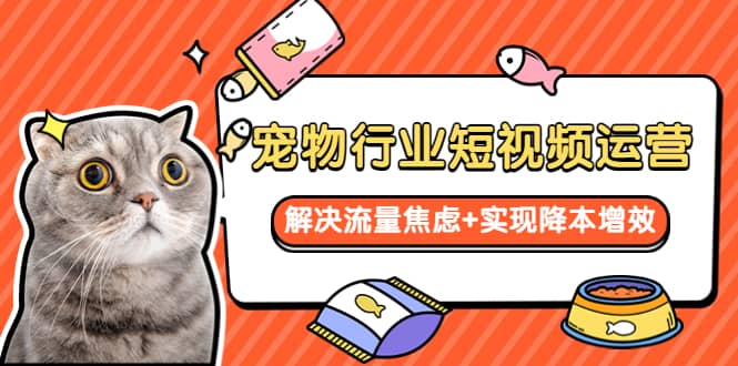 宠物/行业短视频运营 流量增长的一层窗户纸 解决流量焦虑+实现降本增效网创吧-网创项目资源站-副业项目-创业项目-搞钱项目v创吧