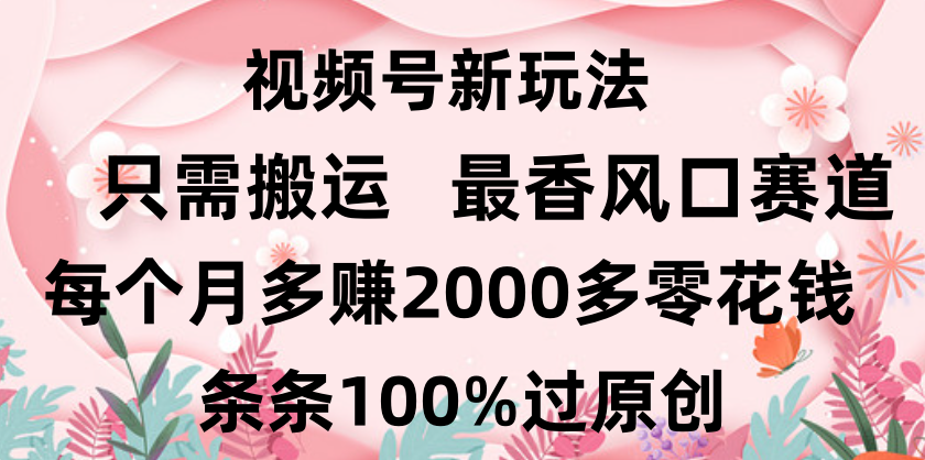 日入2000+，条条100%过原创，视频号最香风口赛道，小白轻松上手v创吧-网创项目资源站-副业项目-创业项目-搞钱项目v创吧