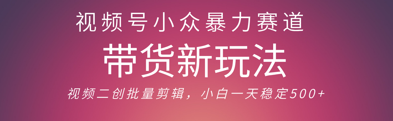 视频号小众暴力赛道，最新带货玩法 小白也能轻松日入500+ 保姆及教程v创吧-网创项目资源站-副业项目-创业项目-搞钱项目v创吧