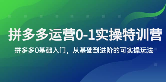拼多多-运营0-1实操训练营，拼多多0基础入门，从基础到进阶的可实操玩法v创吧-网创项目资源站-副业项目-创业项目-搞钱项目v创吧