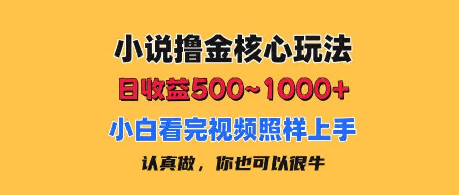小说撸金核心玩法，日收益500-1000+，小白看完照样上手，0成本有手就行v创吧-网创项目资源站-副业项目-创业项目-搞钱项目v创吧