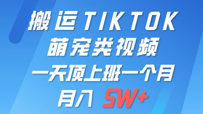 一键搬运TIKTOK萌宠类视频 一部手机即可操作 所有平台均可发布 轻松月入5W+v创吧-网创项目资源站-副业项目-创业项目-搞钱项目v创吧