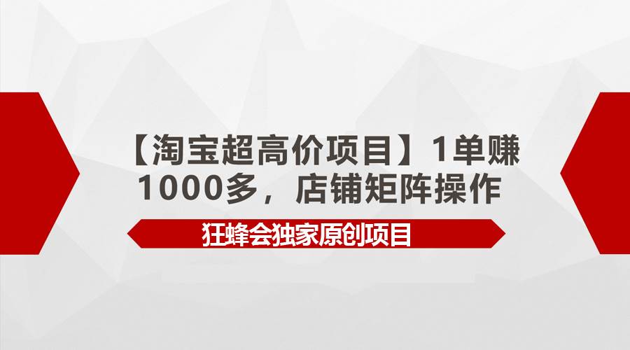 【淘宝超高价项目】1单赚1000多，店铺矩阵操作网创吧-网创项目资源站-副业项目-创业项目-搞钱项目v创吧